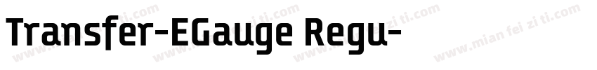 Transfer-EGauge Regu字体转换